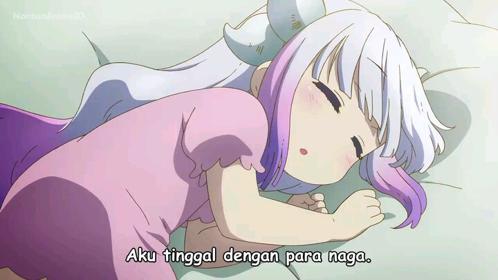 kobayashi