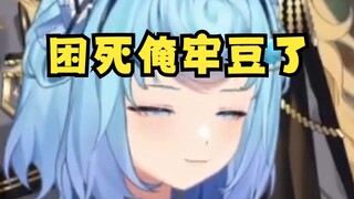 【四禧丸子】牢豆已经困得不成人样，疯狂蜻蜓点水了😪😪😪