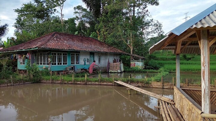 Wah Se Damai Ini Hidup Di Desa, TENTRAMNYA Rumah Tengah Sawah Pinggir Empang | Pedesaan Sunda