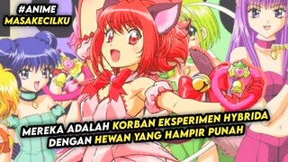 Anime Magical Girl itu Menyenangkan? Belum tau Latar Belakangnya!!? #AnimeMasaKecilKu