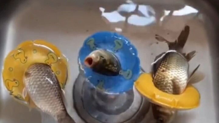 My Sense of Humor Is Weirdly Placed | Part 10