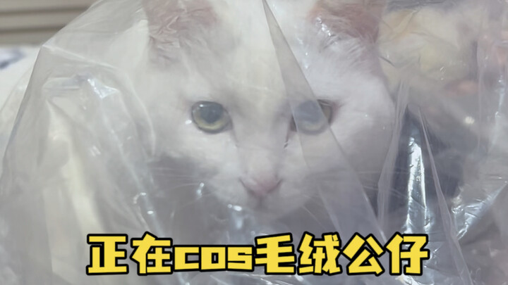 Doudou: The Cat Dung Scooper Do you know what it means when a plushie doesn’t come with a plastic ba