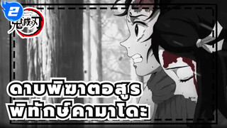 ดาบพิฆาตอสูร|พิทักษ์คามาโดะ(ดำ)_2