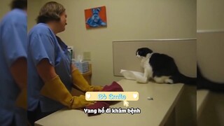 Khi Yang Hồ đi khám bệnh
