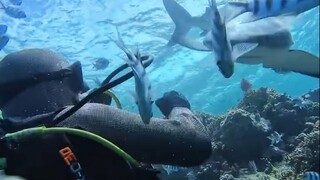 海底潜水又刺激又好玩，下次还来