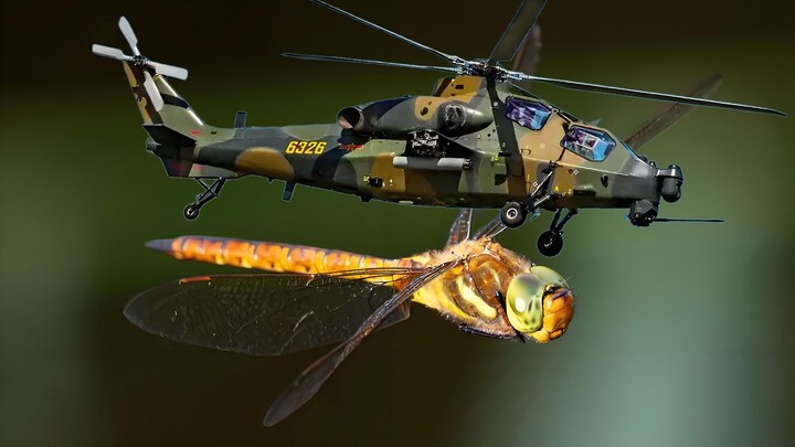Melampaui Helikopter: Mengungkap Tiga Kemampuan Terbang Luar Biasa Capung