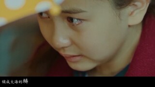 Nàng ở dưới đáy biển, không thể nhìn thấy bốn mùa | Dưới biển | Hành trình của hoa