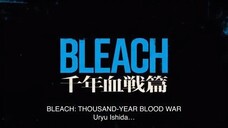 Watch the full: Bleach Part 2 anime for Free: Link in the Description