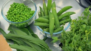 MasterChef.The.Professionals.S15E04.1080p.HDTV.H264-DARKFLiX
