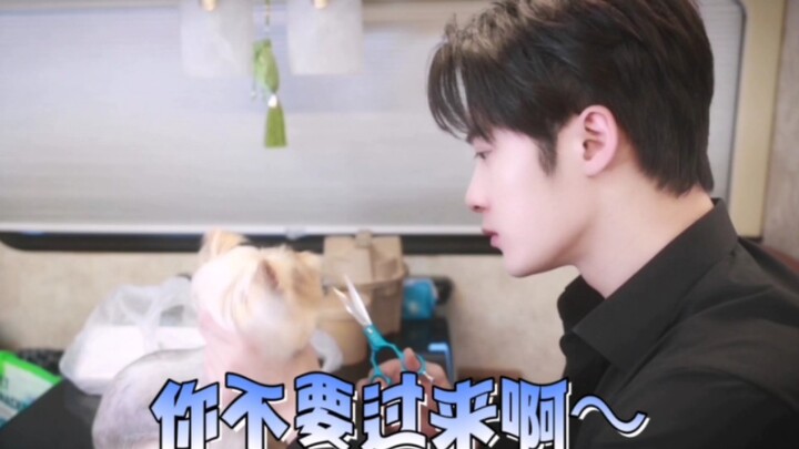 Tan Jianci cuts the dog's hair, Xiaodai and Xiaoqiu's different painting styles!