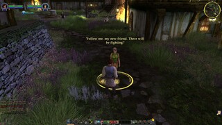 The Lord of the Rings Online, Tutorial Before the Shadow