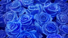 Dược Sư Tự Sự - 21