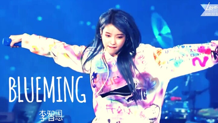 Bản Blue-ray Concert Live "Blueming" Của IU