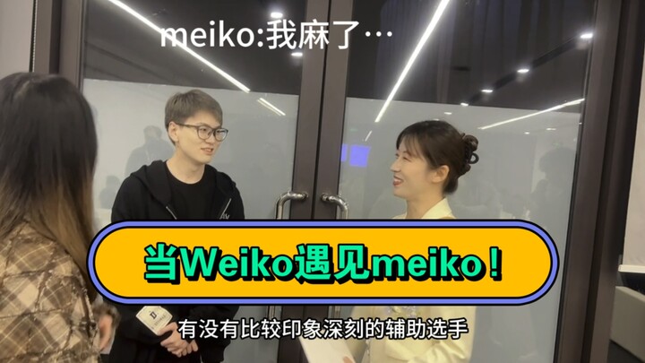 【Trương Tiểu Vi Liễu】Khi Weiko gặp Meiko, Meiko: Đừng hỏi nữa, tôi phát mệt rồi
