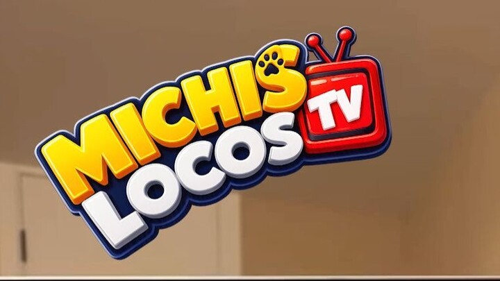 🐱🛒 ¿Qué pasa cuando un michi compra por internet? 😂