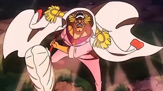 One piece 1146 P