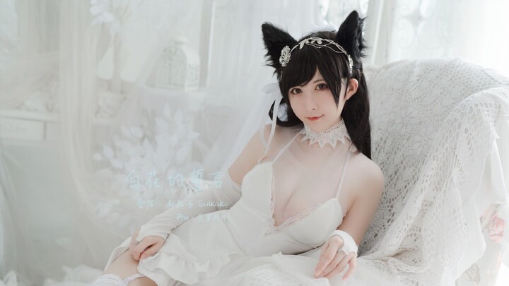 [ Azur Lane .cos] [Watermelon Seed] Dog: Commander, you just went to rest not long ago, do you miss me so much?