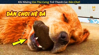 Khi Các Em Thú Cưng Trở Thành Dân Chơi Vì Quá Phê || Review Con Người Và Cuộc Sống