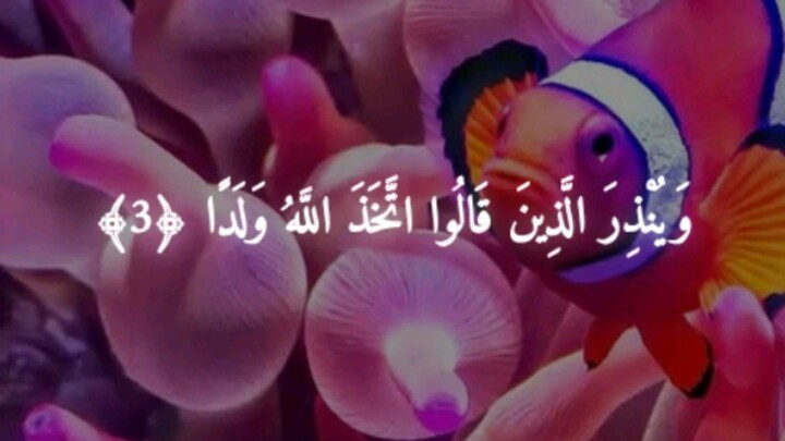 QuranHoly QuranQuran recitationQuran tilawat statusQuran statusShort Quran recitationTilawatQuran Ka