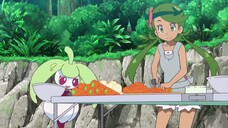 Pokemon Sun&Moon Eng Ep29