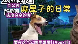 【مقطع مصور】قصة لعب ثنائي حلو مع ماريكو في Apex، مواجهة نارية مباشرة في سهل مفتوح بالأسلحة | ميم القط