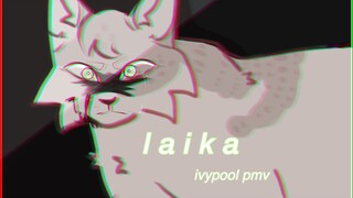 l a i k a. ||Ivypool PMV||