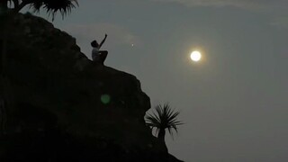 The little turtle of the extreme martial arts world, a whirlwind kick drops from the sky. Don’t be a
