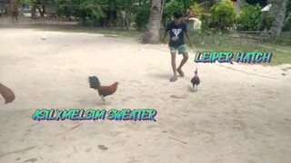 Panalo ang ating ASILXMELSIM SWEATER    exam last saturday 02/15/2025.     JRP BACKYARD