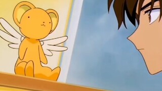 全家人都能看见小可本体 只有小樱和小可还以为没被发现