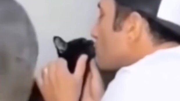 Cat: Honey! Why did you stop?