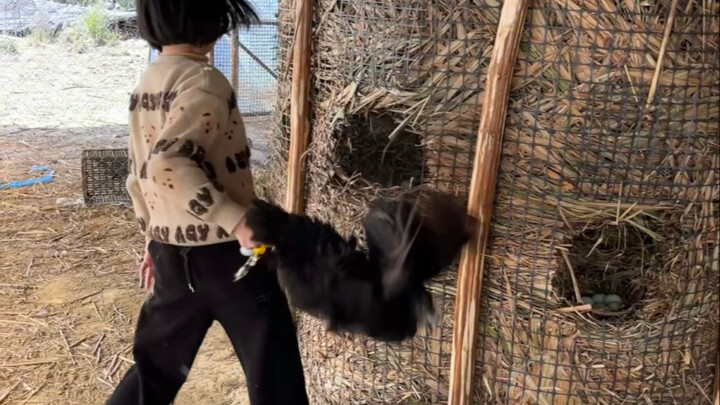 My daughter came back to inspect the work!