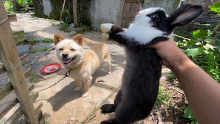 Lesson paid by blood. I was too young and too innocent. EN