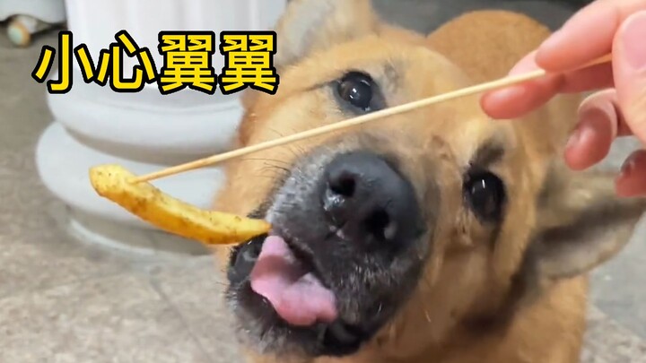 Nilai sempurna untuk pendidikan rumah!!