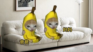 当你收到军校录取通知书时