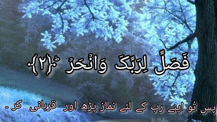 sure kawasr#Quran#QuranRecitation#Tilawat
