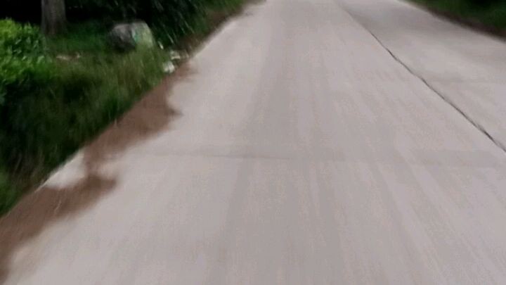 pulkam