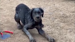 这种情况能救吗？