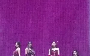 จริงหรือที่ลิซ่าไปคอนเสิร์ต