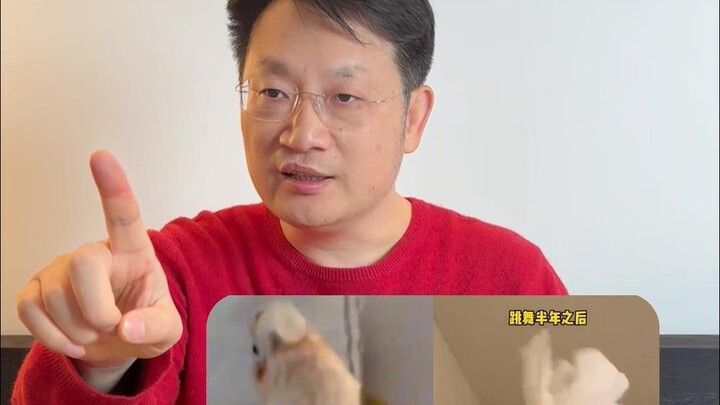 Even depressed parrots can recover—families with depressed children, hurry up and learn how!