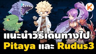 วิธีเดินทางไปแมพ Pitaya(150+) และ Rudus3(163+) วิธีเดินเควส 17.1 แบบไวๆ | Ro GGT