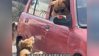 我今年旺不旺呀