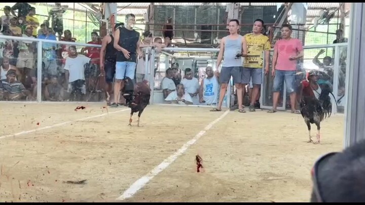 WWL pachampion sana. ty gold sa unang champion binigay mo🐓🫡