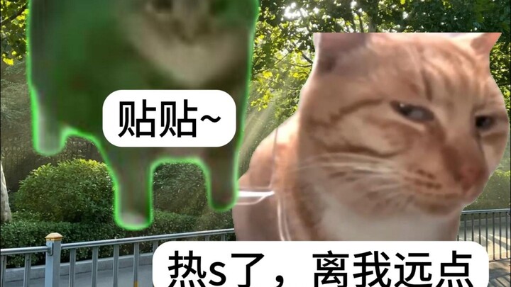 My girlfriend's clinginess is inversely proportional to the temperature.