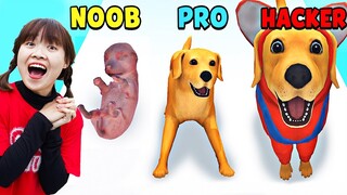 Hà Sam Chăm Sóc Chú Chó Từ Bé Đến Lớn Trong Dog Life Simulator