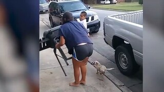 Những Khoảnh Khắc Hài Hước Và Thú Vị Bá Đạo #26