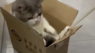 "Masih muda sudah memiliki mobil mewah~"