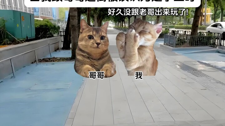 Ketika saya berbelanja dengan kakak laki-laki dan disalahpahami sebagai selingkuhan