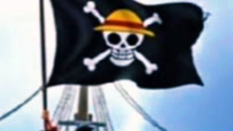 Indonesian citizens are flying the One Piece flag as a symbolic protest 🥀