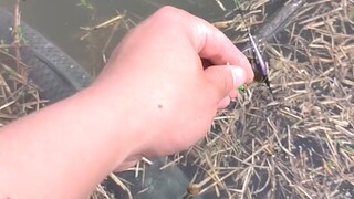 是你嘲讽在先，打你一巴掌不过分吧