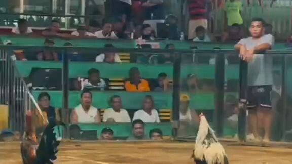 Super tukong